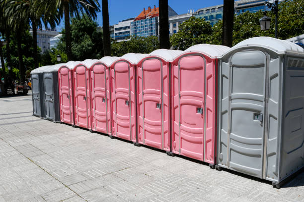Best Portable Toilets with Baby Changing Stations  in Home Garden, CA